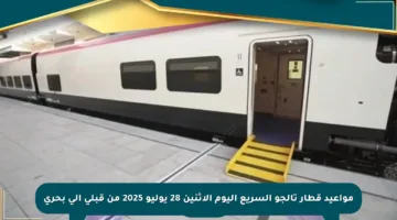 مواعيد قطار تالجو السريع اليوم الإثنين 28 يوليو 2025 من قبلي إلى بحري